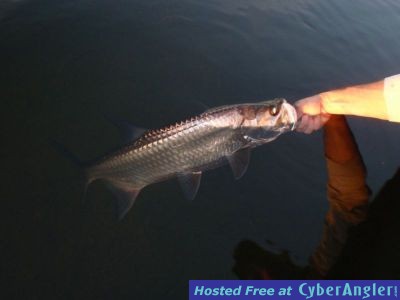 Click to Enlarge Photo