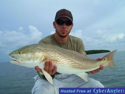 Redfish_Prefish