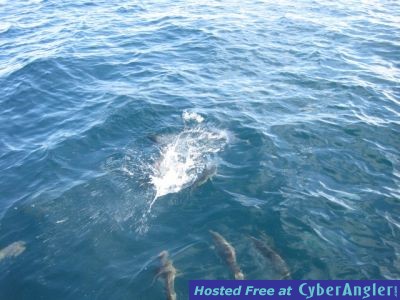 Click to Enlarge Photo