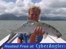 Click to Enlarge Photo