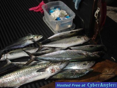 Click to Enlarge Photo