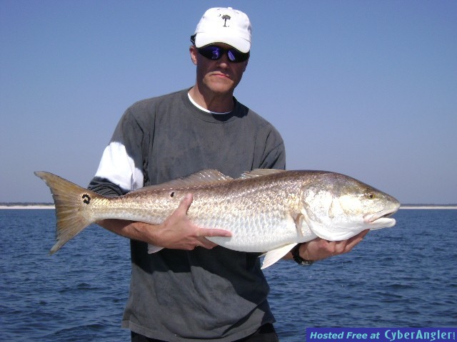Pensacola Bull Red Fish