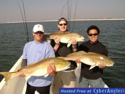 Click to Enlarge Photo