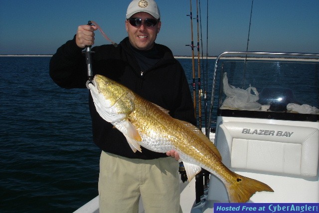 More Pensacola Bull Red Fish