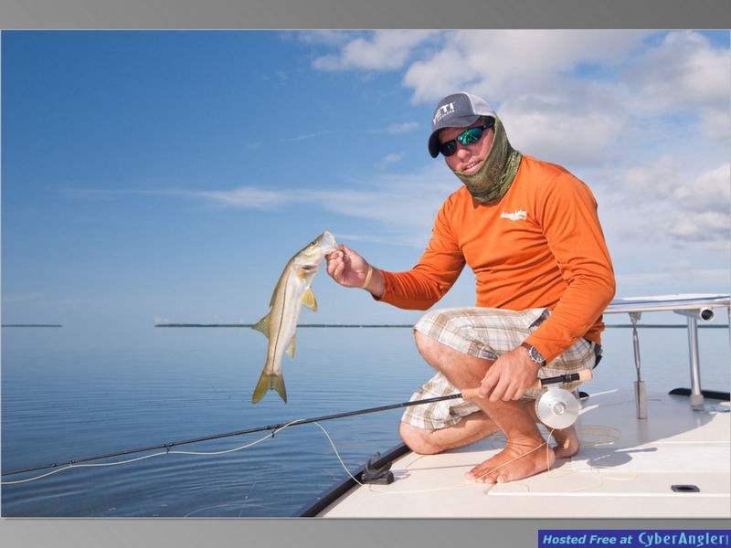 FlamingoSlideShow_1_-11