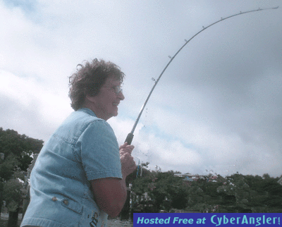 Click to Enlarge Photo