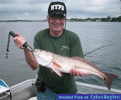 Click to Enlarge Photo