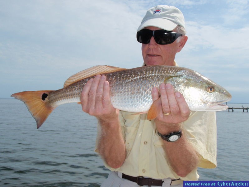 PIS redfish
