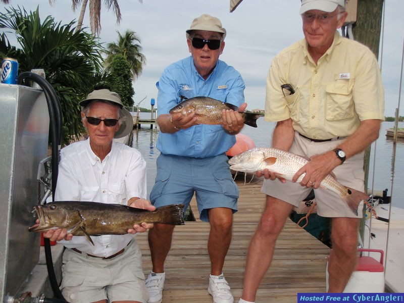 Mixed Bag