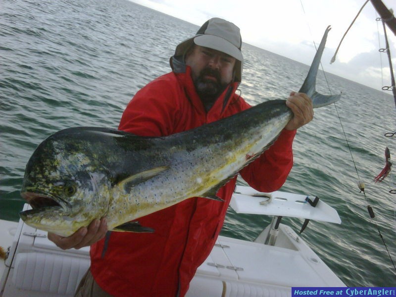 2009-05-22-Dolphin-01