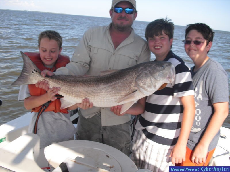 Bull Red