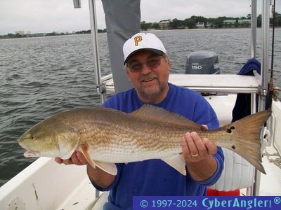 Click to Enlarge Photo