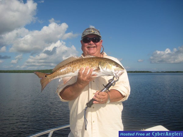 Matlacha Redfish