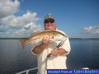 Matlacha Redfish