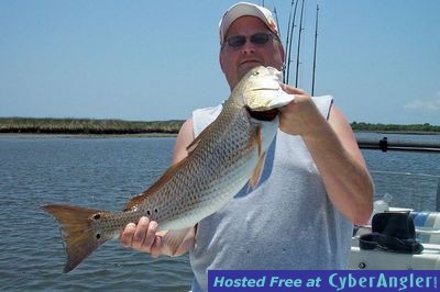 Click to Enlarge Photo