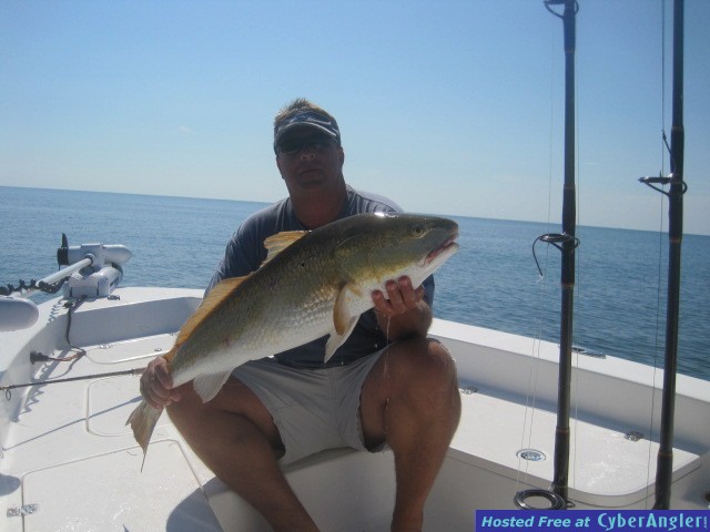 redfish #2