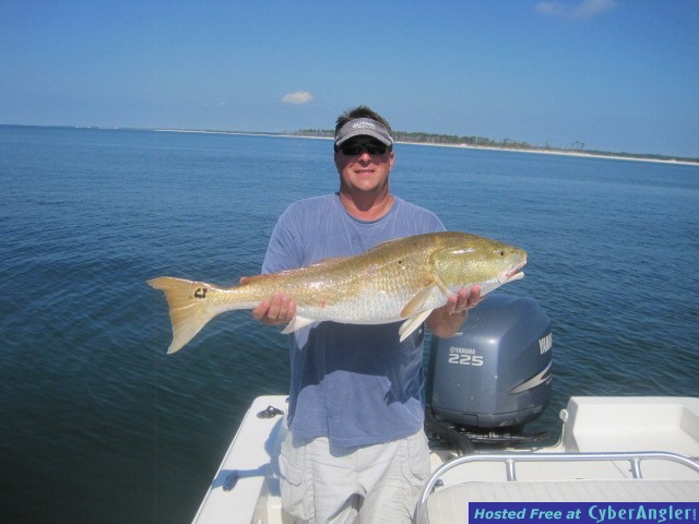 redfish #2