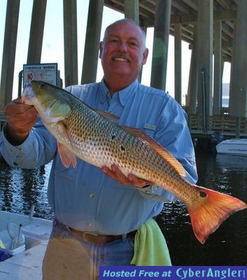 Click to Enlarge Photo