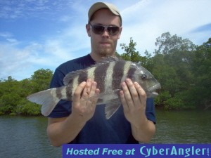 18-inch sheepshead