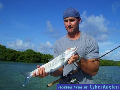 Click to Enlarge Photo