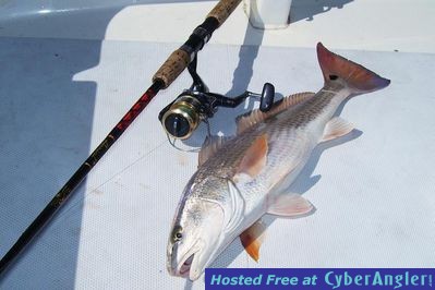 Click to Enlarge Photo