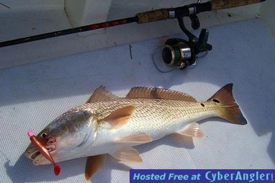 Click to Enlarge Photo