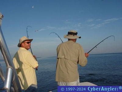 Click to Enlarge Photo