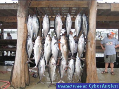 venice, Louisiana offshore fishing