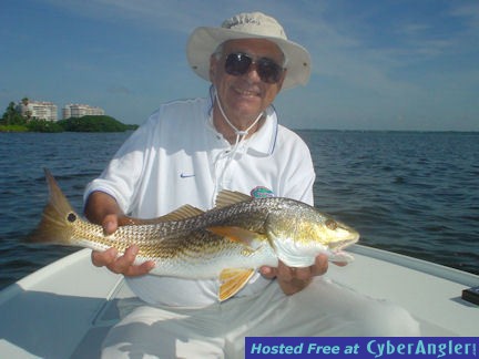 Mike Sprague's Sarasota Bay gold spoon red caught with Capt. Rick Grassett
