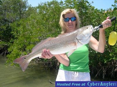 Click to Enlarge Photo