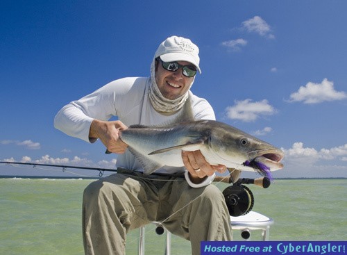 Oct-_09--fly-cobia