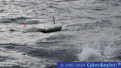 Click to Enlarge Photo