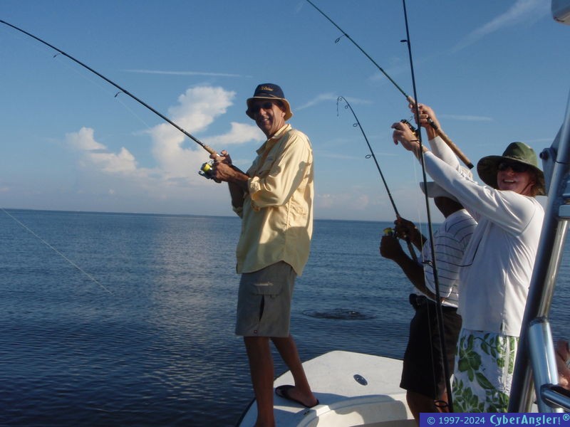 LOTS OF REDFISH!