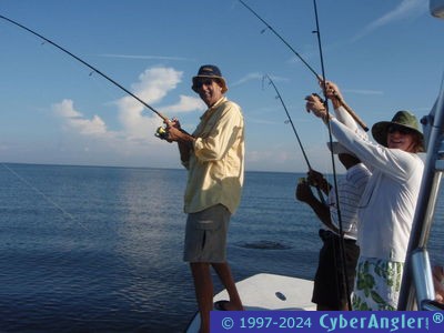 Click to Enlarge Photo