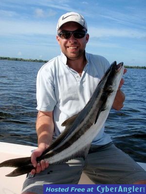 First cobia