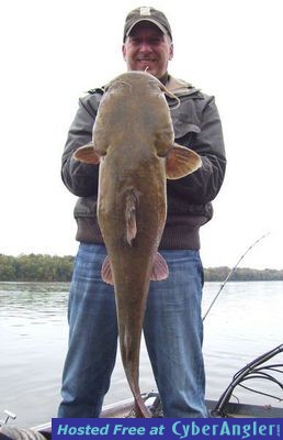 30 Lb Flathead