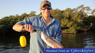 Click to Enlarge Photo