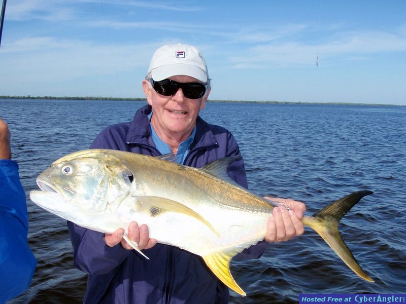 Southwest Florida Jack Crevalle