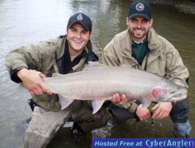 Skeena River Steelhead www.noelgyger.ca noel@noelgyger.ca