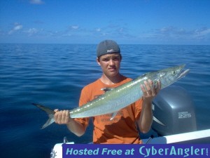 34 inch kingfish