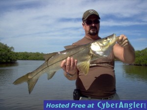 34 inch kingfish