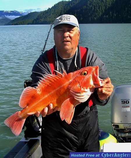 Alaska Yellow Eye Snapper