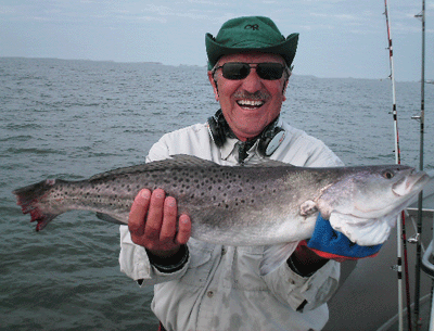 Click to Enlarge Photo