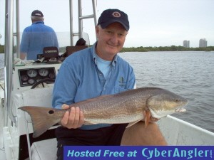 30 inch bull-red