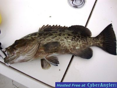 Click to Enlarge Photo