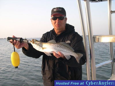 Click to Enlarge Photo