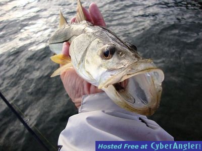 Click to Enlarge Photo