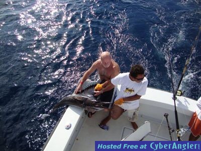 Click to Enlarge Photo