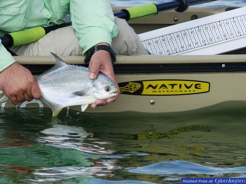 Southern Drawl Kayak Fishing