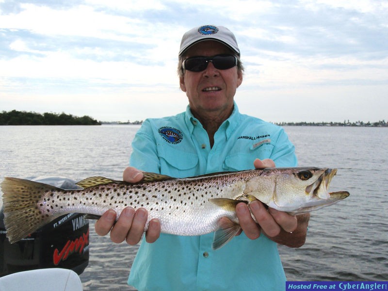 Another Big Trout